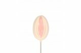 Small Pussy On A Stick - White Chocolate